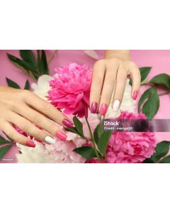 product update 2212221122221